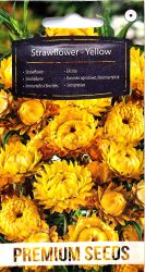 Helichrysum Strawflower Yellow Seeds